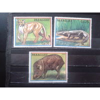 Парагвай 1984 Фауна** Михель-3,5 евро