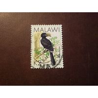 Малави 1988 г.Серебрянокрылый калао./47а/