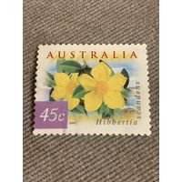 Австралия 1999. Флора. Цветы. Hibbertia scandens