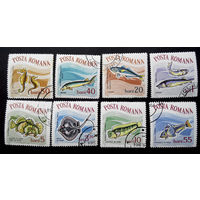 Румыния 1964 г. Морские рыбы. Фауна, полная серия из 8 марок #0114-Ф1