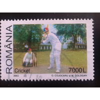 Румыния 2002 крикет