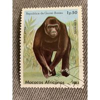 Гвинея-Бисау 1983. Макака. Марка из серии