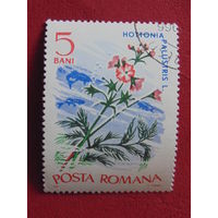 Румыния 1966 г. Цветы.