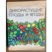 Дикорастущие плоды и ягоды