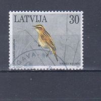 [2266] Латвия 1997. Фауна.Птицы. Гашеная марка.