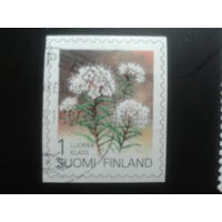 Финляндия 1993 стандарт, цветы
