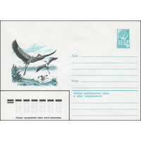 Художественный маркированный конверт СССР N 15694 (09.06.1982) [Аисты]