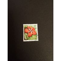 Французская колония Новая Каледония флора цветы (5-5)