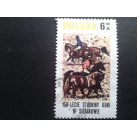 Польша 1980 кони