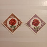 Венгрия 1959. Цветы. Розы