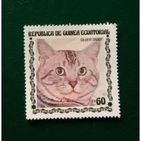 Марка  Экваториальная Гвинея Кошка