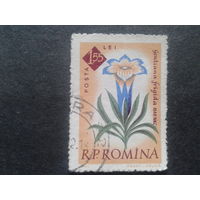Румыния 1961 цветы