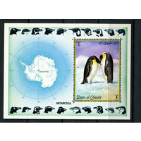 Умм-эль-Кайвайн - 1972 - Пингвины - [Mi. bl. 51] - 1 блок. MNH.  (Лот 244AJ)