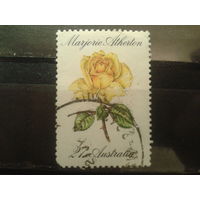 Австралия 1982 Желтая роза
