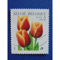 Бельгия 1999 г. Цветы.