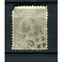 Нидерланды - 1891-1894 - Королева Вильгельмина 12 1/2С - (есть тонкое место ) - 1 марка. Гашеная.  (Лот 51CJ)