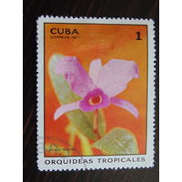 Куба 1971 г. Флора.