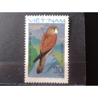 Вьетнам 1982 Хищная птица