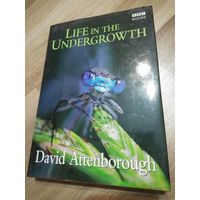 Life in the Undergrowth. David Attenborough