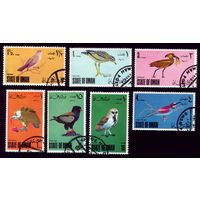 7 марок Оман Птицы