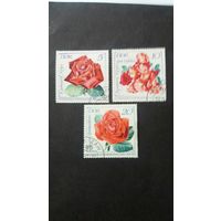 ГДР 1972 3м розы