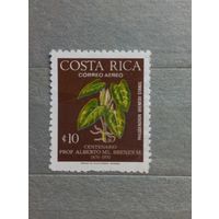 Коста Рика. Флора.