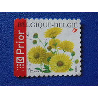 Бельгия 2005 г. Цветы.