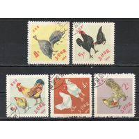 Птицеводство КНДР 1964 год серия из 5 марок