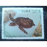 Куба 1983 Черепаха
