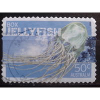 Австралия 2006 Медуза