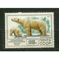 Фауна. Белый медведь. 1977. Чистая