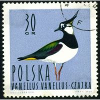 Водоплавающие птицы Польша 1964 год 1 марка
