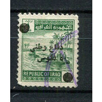 Ирак - 1963 - Надпечатка 5F на 1F. Zwagszuschlagmarken - [Mi.11z I] - 1 марка. Гашеная.  (LOT DL12)