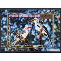 Фауна Птицы Африки Экваториальная Гвинея  1976 год 1 блок
