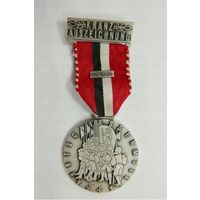 Швейцария, Памятная медаль 1966 год. (М308)