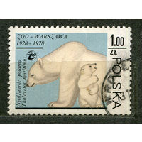 Фауна. Белые медведи. Польша. 1978