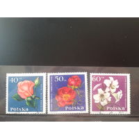 Польша 1964  Цветы