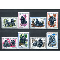 Руанда - 1970г. - Фауна. Горные гориллы - полная серия, MNH [Mi 400-407] - 8 марок