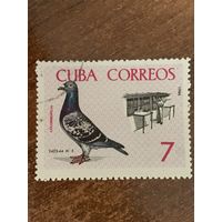 Куба 1966. Почтовая служба. Почтовый голубь. Марка из серии