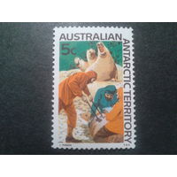 Австралия Антарктические территории 1968 морские львы