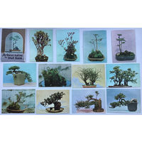 Набор открыток "Карликовые деревья Вьетнама" (Ж)