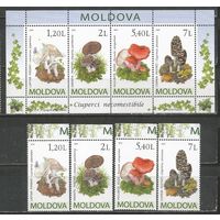 Молдова. Грибы. 2010г. Mi#694-97+Бл49.