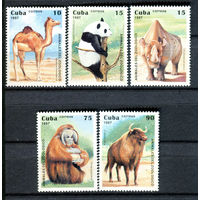 Куба - 1997г. - Животные зоологического сада - полная серия, MNH [Mi 3996-4000] - 5 марок
