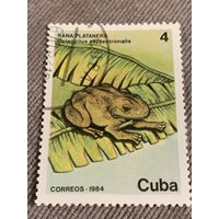 Куба 1984. Лягушки. Osteopilus septentrionalis. Марка из серии