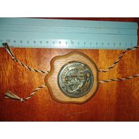 Медаль Пинск 900 лет 1997 год
