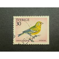 Швеция 1970. Шведские птицы