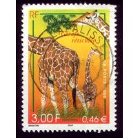 1 марка 2000 год Франция Жирафы 3474