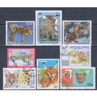 [73] Фауна.Дикие кошки. 8 гашеных марок.