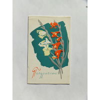 Пинская  поздравляю  открытка  БССР  1969  9х14 см