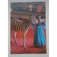 Календарики цирк карманные 1985 год